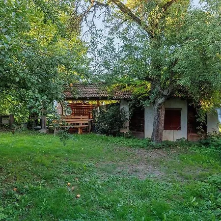 Haugstetter Schwarzwaldhaus Holiday home *