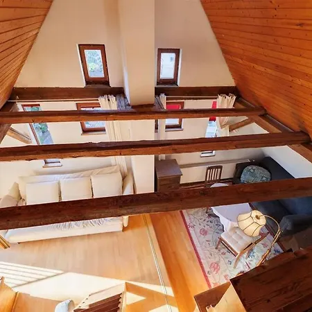 度假居 Haugstetter Schwarzwaldhaus *