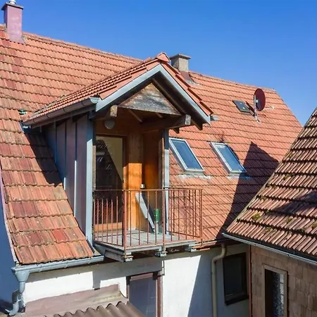 Haugstetter Schwarzwaldhaus * Neubulach