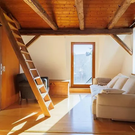 Haugstetter Schwarzwaldhaus Neubulach